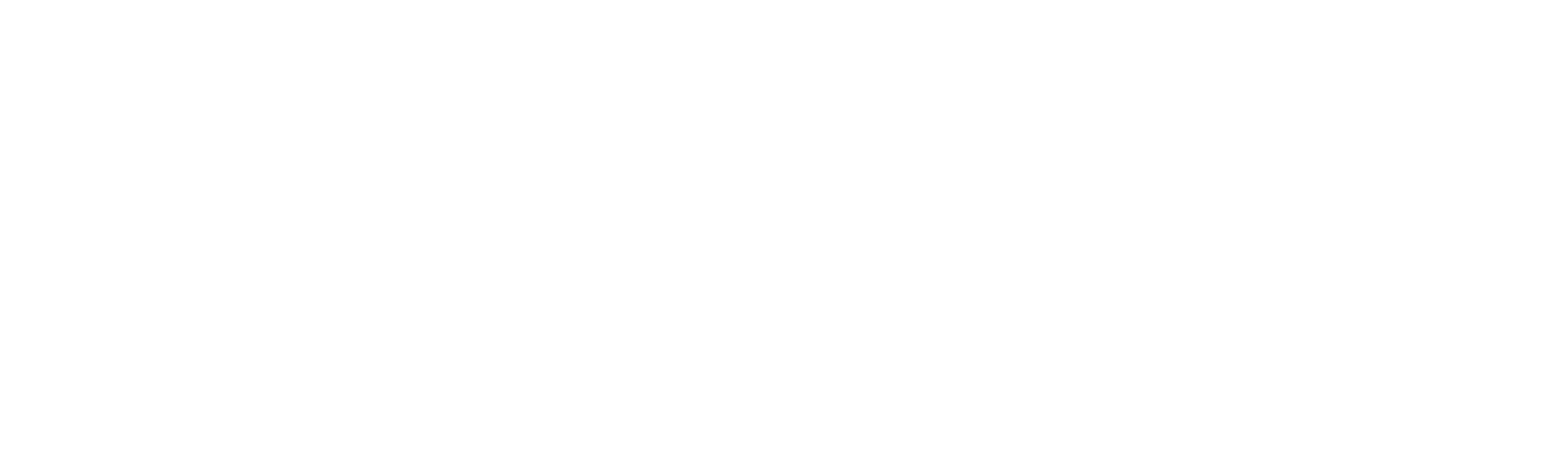 CampuStore Srl